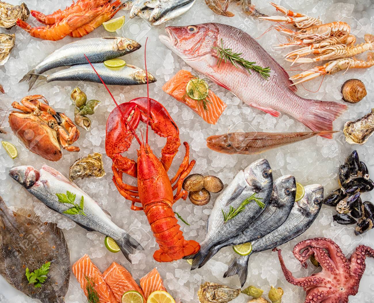 Many kind of seafood, served on crushed ice