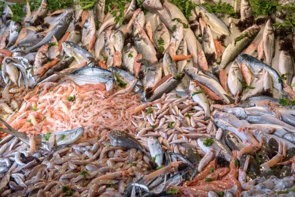 Seafood at the fish market Fishes, prawns and other seafood at the fish market